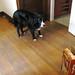 Merlin Miller Photo 22