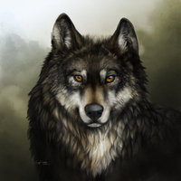 Ben Wolfe Photo 29