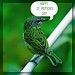 Patrick Bird Photo 38