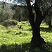 Linda Meadows Photo 16