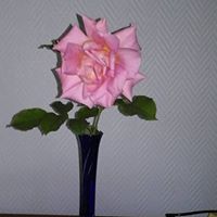 Brigitte Wagner Photo 22
