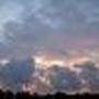 Carol Toth Photo 8