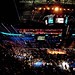 Shannon Briggs Photo 27
