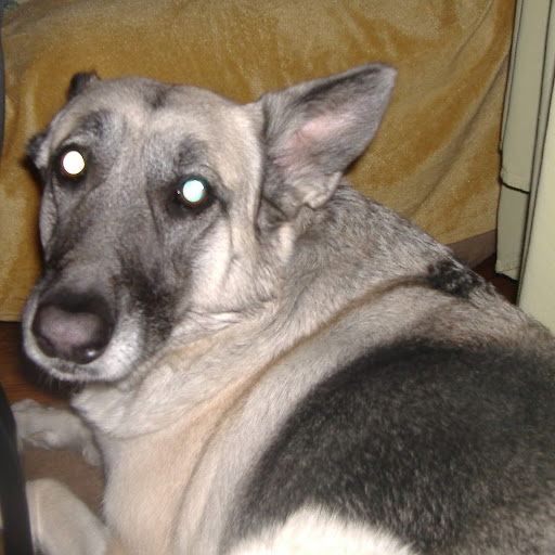 Paul Busch Photo 21