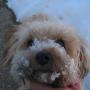 Kathy Newton Photo 28
