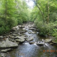 Robin Craig Photo 49