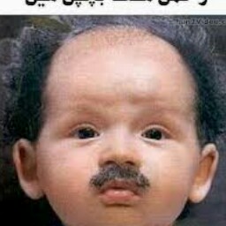 Seamus Gallagher Photo 16