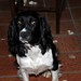 Betty Springer Photo 20