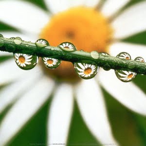 Daisy Fung Photo 4