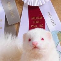 Dawn Schell Photo 27