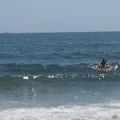 Brenda Hanley Photo 19