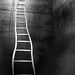 Thomas Puryear Photo 5