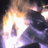 John Golik Photo 4