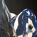 Jennifer Basset Photo 4