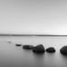 Shirley Stone Photo 12