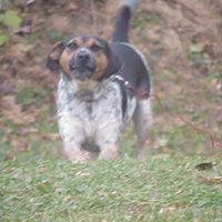 Ruby Smallwood Photo 5