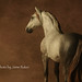 Lora Baker Photo 8