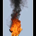 Scott Brewer Photo 40