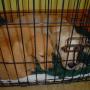 Christine Jessop Photo 13