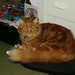 Max Chance Photo 11