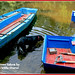 Julie Province Photo 7