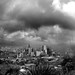 Andres Botero Photo 17