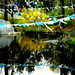 Donald Jobe Photo 12