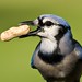 Jay Quick Photo 21