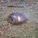 Laura Chaney Photo 32