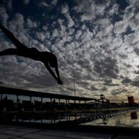 David Schafer Photo 14