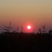 Dawn Calabrese Photo 11