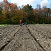 Marcia Fields Photo 17