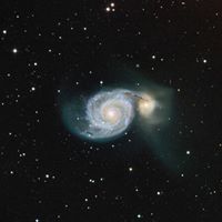 Michael Desantis Photo 30