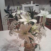 Barbara Mayfield Photo 27