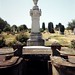 Charles Grove Photo 43