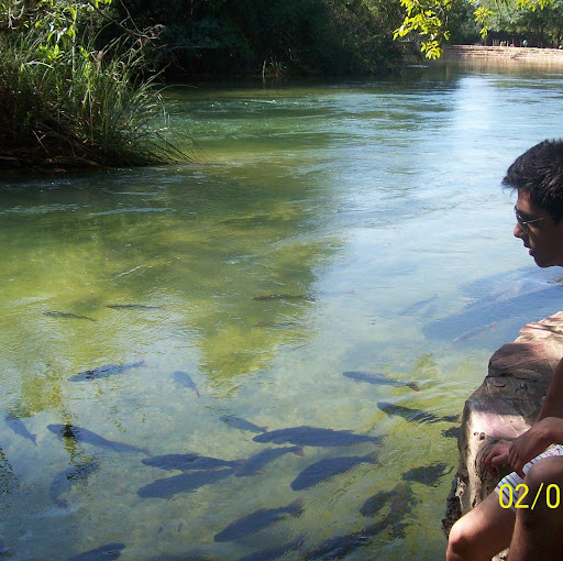 Gustavo Ortega Photo 27