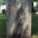 Sherman Stone Photo 5