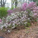 Flora Jenkins Photo 17