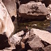 Ronald Lake Photo 10