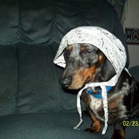 James Samples Photo 16