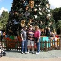 Kathy Strickland Photo 12