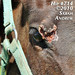 Nyra Robinson Photo 3