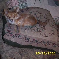 Joan Gorman Photo 17