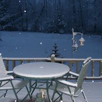 Denise Burks Photo 15