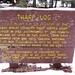 Amy Tharp Photo 21