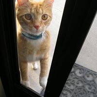 Tony Coluccio Photo 9