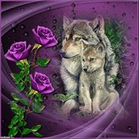 Connie Stacy Photo 9