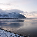 David Amason Photo 10