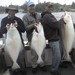 Alan Boyd Photo 9
