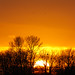 Allen Green Photo 25